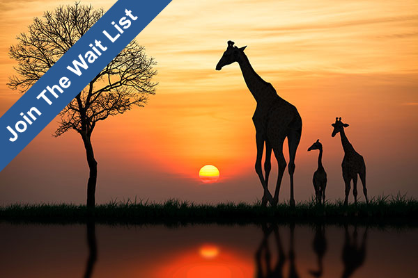 Discover South Africa, Victoria Falls and Botswana!