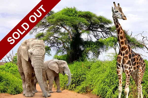 Discover South Africa, Victoria Falls, and Botswana Sold Out