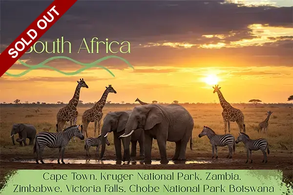 Experience South Africa 2026