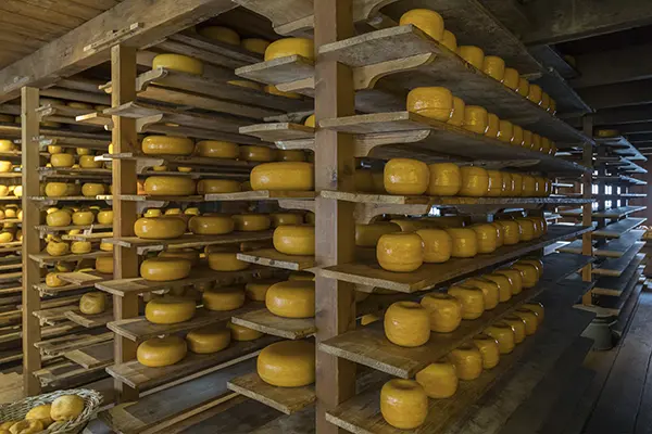 Gouda cheese store town Gouda, Netherlands