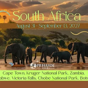 Elephants in the African Savanna with Sunset